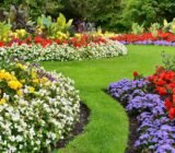 The most beautiful colors for garden landscaping